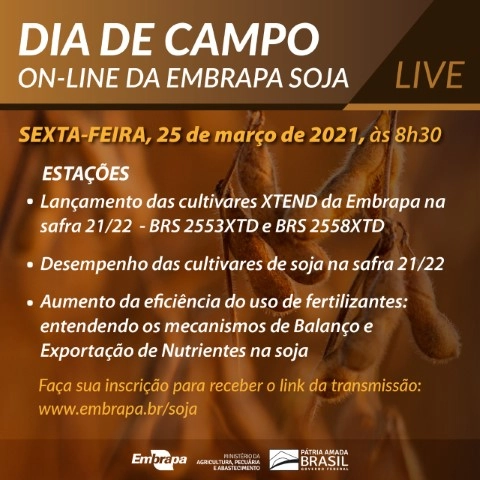 pesquisa 24 03 2022