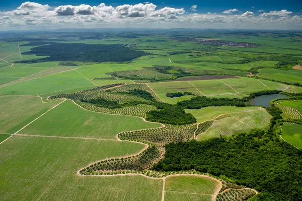 REGULARIZAGRO: Plano nacional irá agilizar a implementação do Código Florestal em imóveis rurais