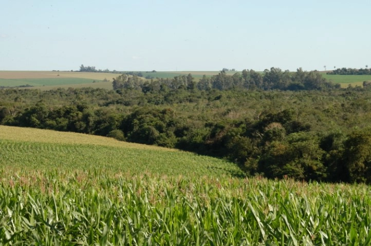 legislacao ambiental 26 05 2022