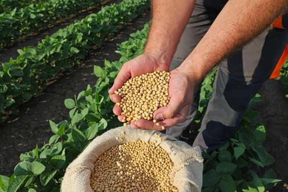 agricultura familiar 21 07 2022