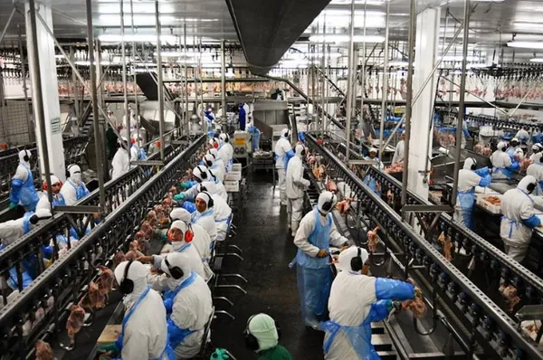 LEGISLATIVO: Projeto estabelece novas faixas de trabalho e descanso em câmaras frigoríficas