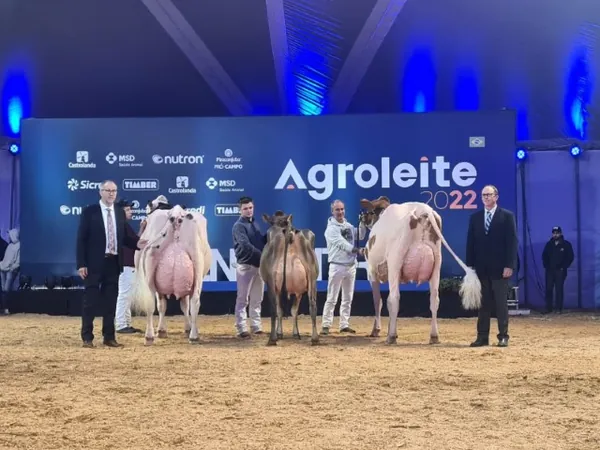 CASTROLANDA: Animais e vibração dos produtores impressionam juízes oficiais do Agroleite 2022