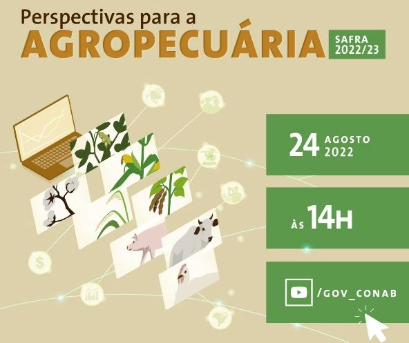 conab destaque 24 08 2022