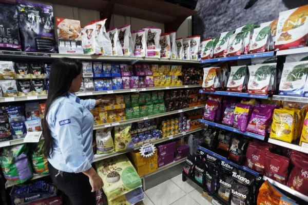 CAGED: Com quase 71 mil novas vagas, Paraná lidera geração de empregos no Sul no 1º semestre