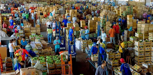 IPEA: Instituto revisa de 13,2% para 15,5% o valor adicionado do setor agropecuário em 2023