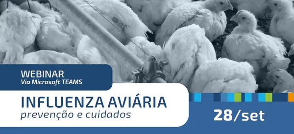 INFLUENZA AVIÁRIA: Webinar nesta quinta-feira vai debater prevenção e cuidados e apresentar experiências internacionais