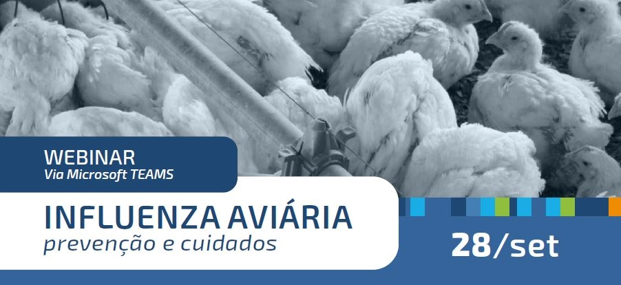 webinar destaque 27 09 2023