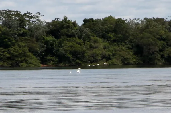 DESENVOLVIMENTO SUSTENTÁVEL: Na última reunião do ano, CBH do Paraná 3 elabora plano de atuação para 2024