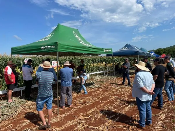 AGRO: Copagril realiza Dia de Campo Milho Silagem em Entre Rios do Oeste