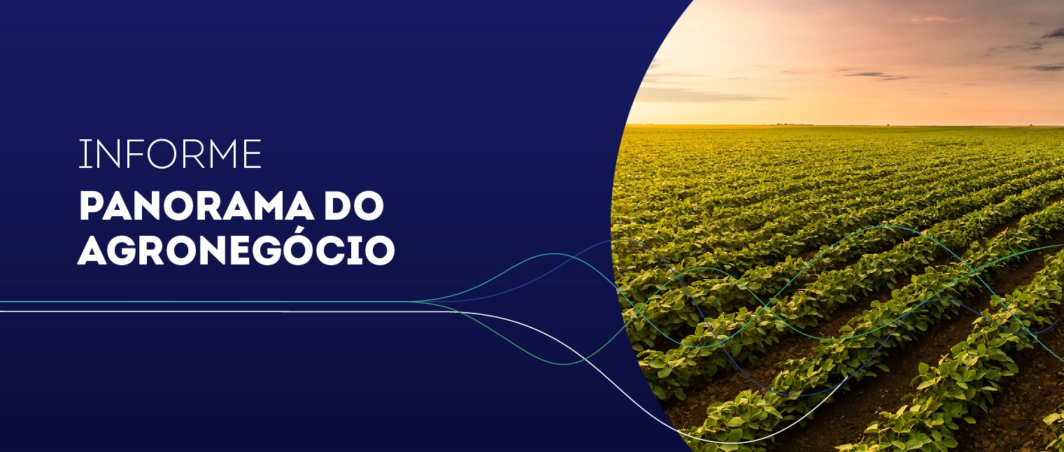 Imagem Destaque