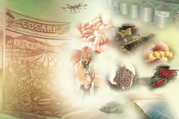 AGRO: Expansão e inovação impulsionam resultados da Cocari em 2023