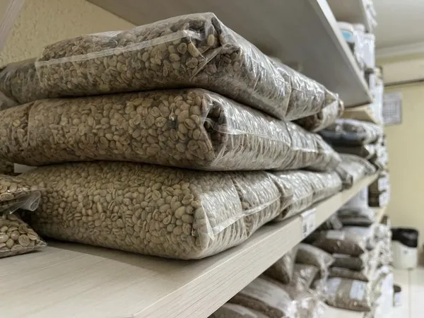 AGRO: Capal inicia exportação de café para a comunidade europeia