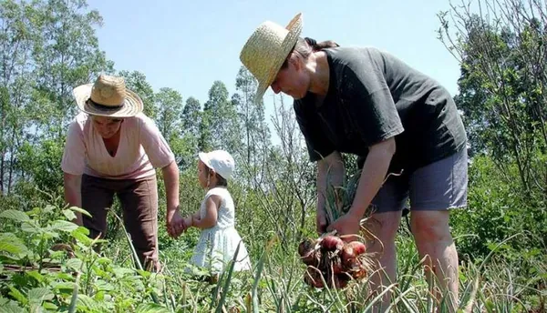 LEGISLAÇÃO: Presidente da República sanciona lei que amplia Política Nacional da Agricultura Familiar