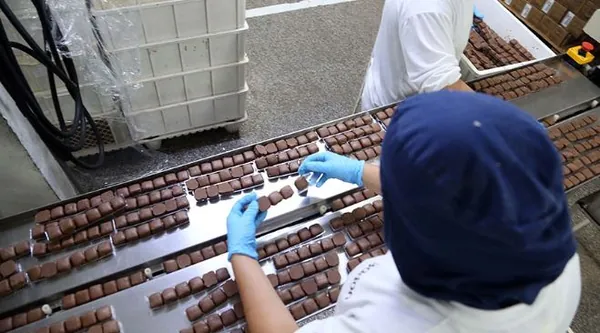 IBGE: Fabricação de produtos alimentícios foi a principal atividade industrial do país em 2022