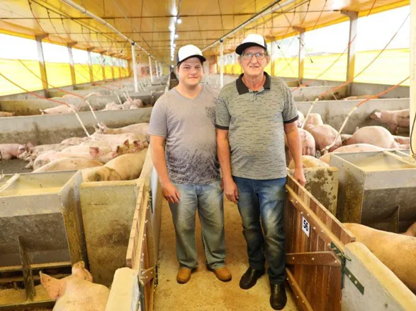 Copacol repassa reservas a cooperados da suinocultura 