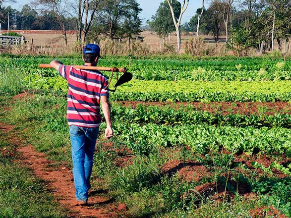 Permanência de jovens agricultores no campo está na pauta da CRA