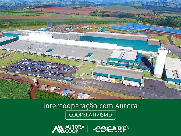 Intercoopera&ccedil;&atilde;o com Aurora impulsiona crescimento e sustentabilidade na Cocari