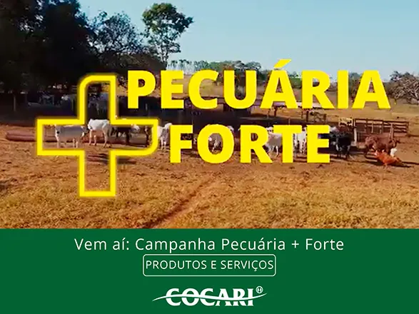 Campanha Pecu&aacute;ria + Forte fortalece a atividade pecu&aacute;ria
