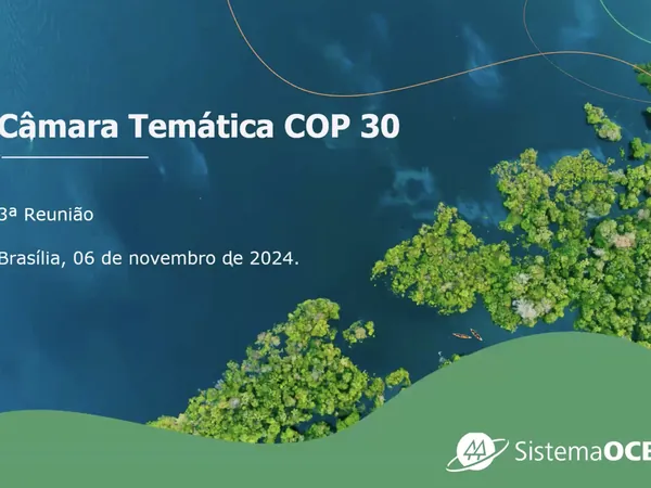 Câmara Temática da COP30 alinha prioridades para o debate climático internacional