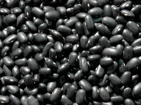 Projeto prevê novo modelo para preço mínimo de arroz, feijão e mandioca