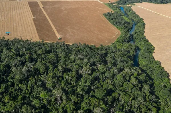Licenciamento Ambiental: projeto tem semana decisiva no Senado