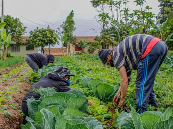 Comissões debatem situação do Proagro e do seguro rural