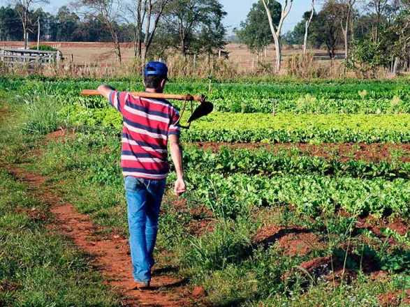 Política para manter jovens agricultores no campo agora é lei
