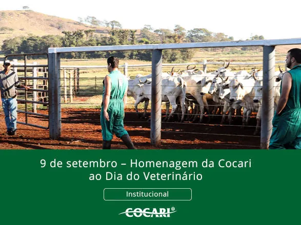 Cocari presta homenagem ao Dia do Veterinário 