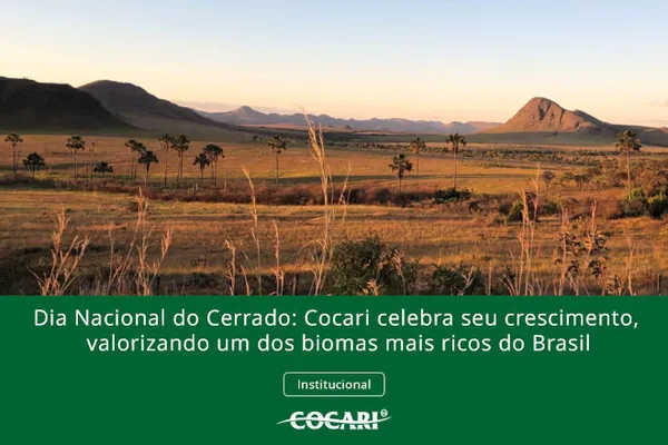 Dia Nacional do Cerrado: Cocari celebra seu crescimento, valorizando um dos biomas mais ricos do Brasil