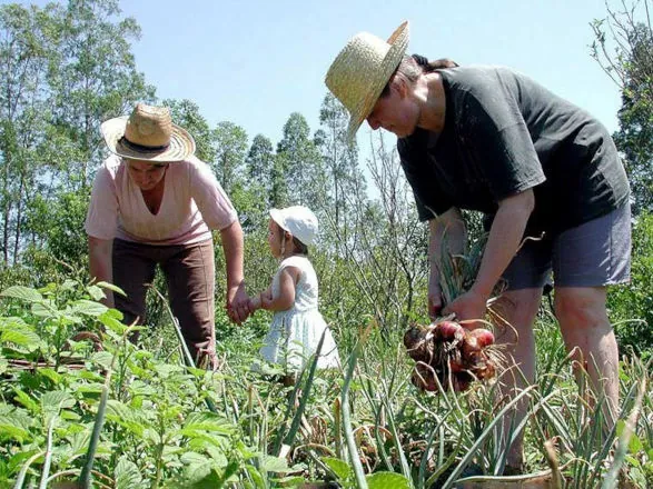 Pronaf e Plano Safra para agricultura familiar são transformados em lei