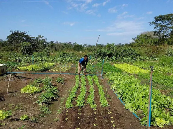 Sancionada lei que amplia acesso de agricultores familiares ao Garantia-Safra