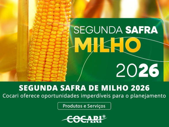 cocari 29 10 2025