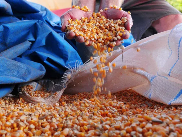 Medida Provisória libera R$ 190 milhões para fortalecer agricultura familiar