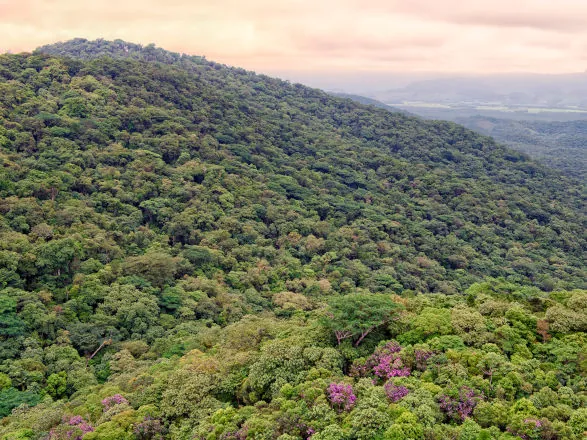 Paraná é um dos quatro estados do Brasil a contar com Plano de Ação Climática