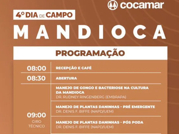 Cocamar: Dia de Campo Mandioca deve reunir 350 participantes nesta quinta-feira 