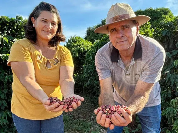Diversificada, pequena chácara em Terra Boa (PR) faz o máximo com o mínimo