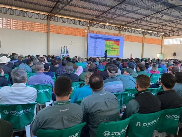 Dia de Campo de Inverno da Cocamar será no dia 23