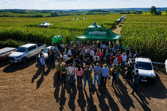 Regionais Guaíra (PR) e Ubiratã (PR) da cooperativa Integrada promovem Dias de Campo