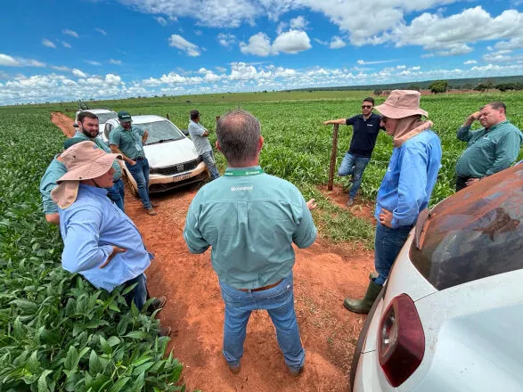 Cocamar: Dia de Campo apresenta resultados de cooperação técnica com a Embrapa Agropecuária Oeste, em Anaurilândia (MS)