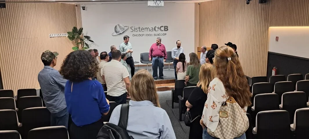 sistema ocb 18 06 2026