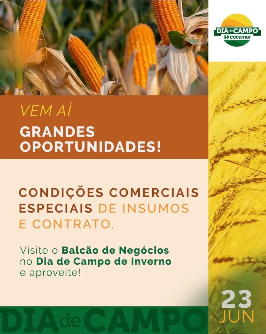 cocamar II 22 06 2026