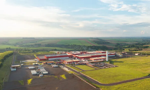 Dia Internacional: Modelo de intercooperação injeta bilhões na economia do campo e blinda cadeia produtiva contra oscilações de mercado
