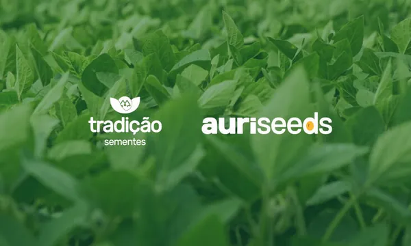 Tradição Sementes lança plataforma AuriSeeds