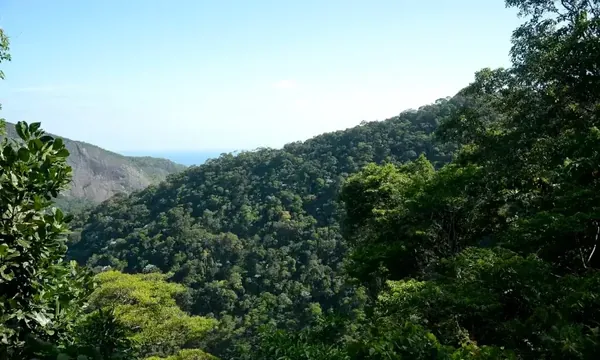 Plano mobiliza R$ 500 bi para financiamento sustentável no Brasil