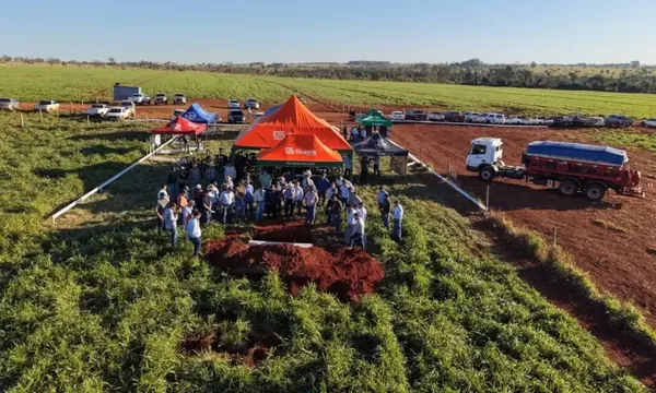 Em Ivinhema (MS), o 3º Dia de Campo sobre Sistemas Integrados