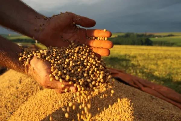 Sicoob projeta liberação de R$ 70 bilhões em crédito rural  