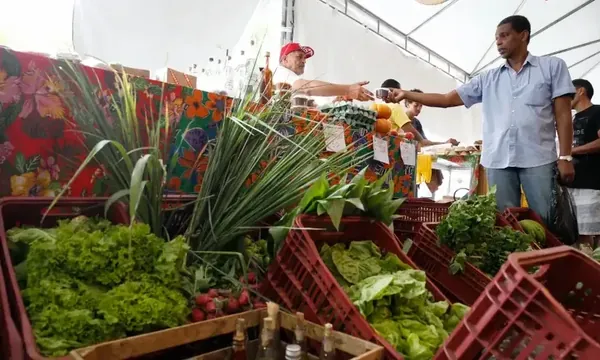 Decreto adia exigência de CNPJ para autônomos e produtores rurais