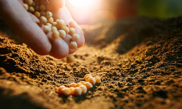 Dia do Agricultor: quem cultiva a terra também cultiva o futuro