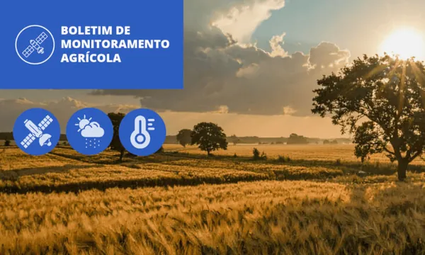 Boletim aponta índices de vegetação acima da média histórica nos cultivos de inverno