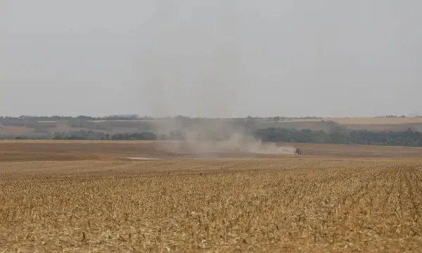 Estudo propõe avanços na rastreabilidade ambiental da soja e da carne